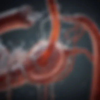 Mechanism of Renal Filtration Explained Diagram showing the renal filtration process