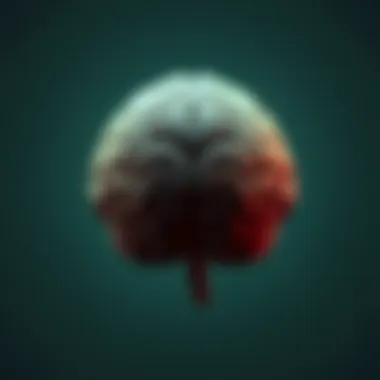Notable Schwannoma Brain Tumor Survival Rate: A Comprehensive Examination Notable Schwannoma Brain Tumor Survival Rate: A Comprehensive Examination