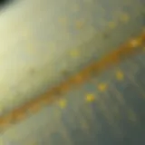 Close-up view of silicon nitride coating on a substrate