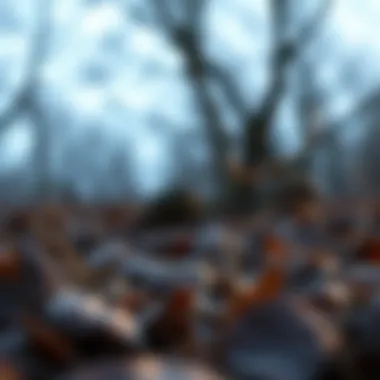 Impact of environmental factors