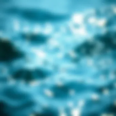 Regulatory efforts for marine protection