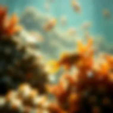 Aquatic life in a polluted marine environment