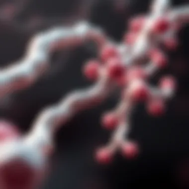 Tamoxifen interaction with estrogen receptors