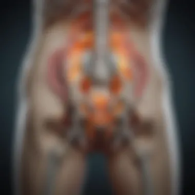 Technical Aspects of MRI Imaging for Sacroiliac Joint Technical aspects of MRI imaging