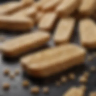 Understanding the Fermentation Science of Tempeh A scientific illustration showcasing the fermentation process of tempeh