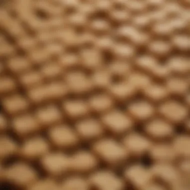 The Unique Texture of Tempeh Starter Culture Close-up of tempeh starter culture displaying a unique texture