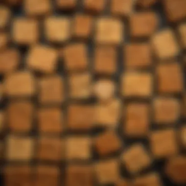 Exploring Variations and Compositions of Tempeh An artistic representation of tempeh variations and their compositions