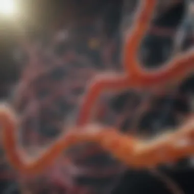 Fibronectin Molecular Architecture Visualization of fibronectin structure