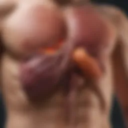 A detailed diagram illustrating the liver's role in the body's detoxification processes.