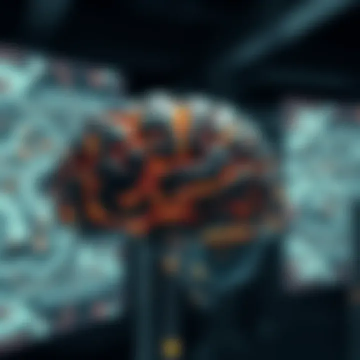 Cognitive Frameworks in Learning Conceptual representation of cognitive frameworks