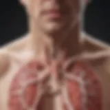 A detailed illustration of the respiratory system affected by COPD