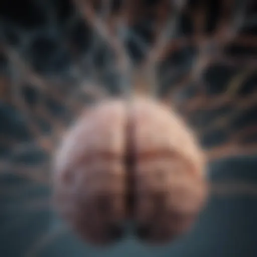 Illustration depicting neural connections representing brain plasticity.
