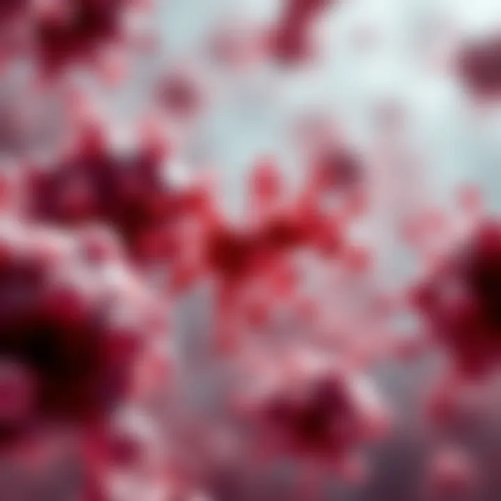 Impact of Microbiome on Disease Susceptibility Conceptual image showing the impact of the microbiome on disease susceptibility