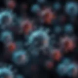 Visual representation of the immune system changes during pregnancy