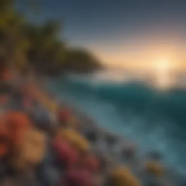 The Impact of Ocean Chemistry Graphical representation of ocean acidification