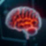 Illustration of brain development impacted by trauma