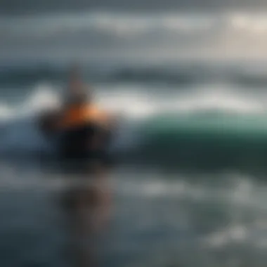 Regulatory Framework for Ocean Noise Management Regulatory measures for ocean noise management