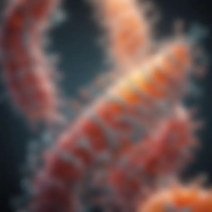 Diagram showcasing the role of amino acids in protein synthesis