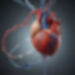 Diagram illustrating the connection between diabetes and cardiovascular health
