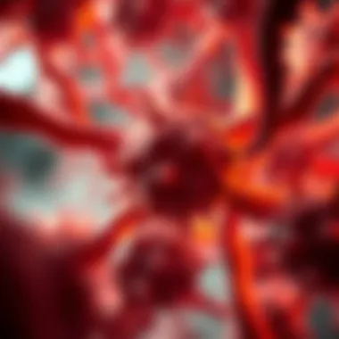 Cellular mechanisms related to cancer development