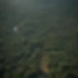 Aerial view of the Amazon rainforest showcasing extensive deforestation.