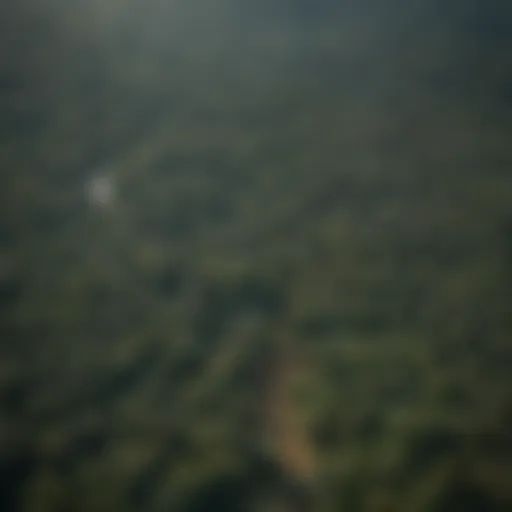 Aerial view of the Amazon rainforest showcasing extensive deforestation.