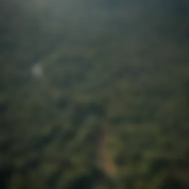 Aerial Perspective of Deforestation in the Amazon Aerial view of the Amazon rainforest showcasing extensive deforestation.