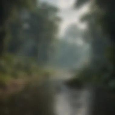 Illustration depicting the impact of climate change on Amazonian biodiversity.