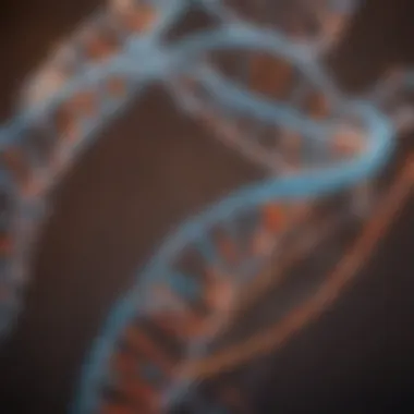 Enzymatic Dynamics in DNA Replication Initiation Enzymatic action during the initiation phase of DNA replication