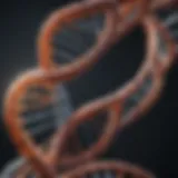 Structural representation of DNA showcasing its double helix