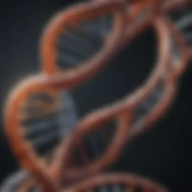 Double Helix Structure of DNA Structural representation of DNA showcasing its double helix