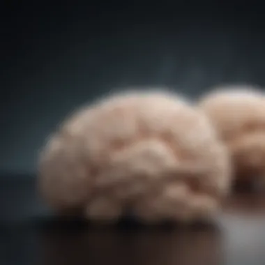 Enhancing Cognitive Function: The Role of L-Theanine Brain activity illustration influenced by L-theanine