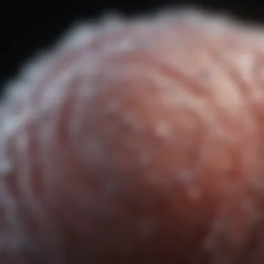 EGF in Tissue Healing EGF's role in tissue healing and regeneration