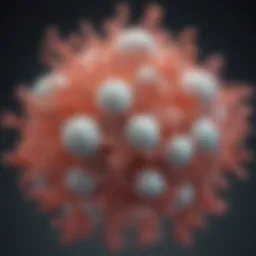 Molecular structure of chitosan showcasing its unique properties