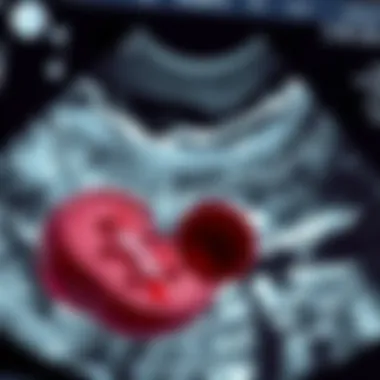 Ultrasound scan displaying blood clot