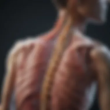 Diagram illustrating spinal muscular atrophy pathology