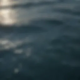 Aerial view of the ocean's surface reflecting sunlight