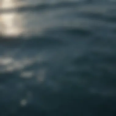 Aerial view of the ocean's surface reflecting sunlight