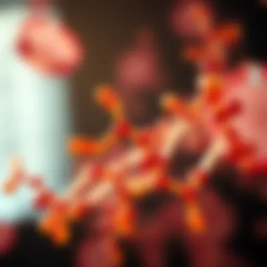 Thiamine and Cancer: Revisiting Metabolic Pathways Introduction