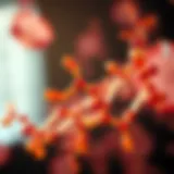 Thiamine and Cancer: Revisiting Metabolic Pathways Introduction Thiamine and Cancer: Revisiting Metabolic Pathways Introduction