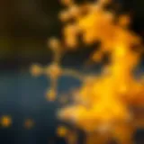 Chemical structure of thiosulfate