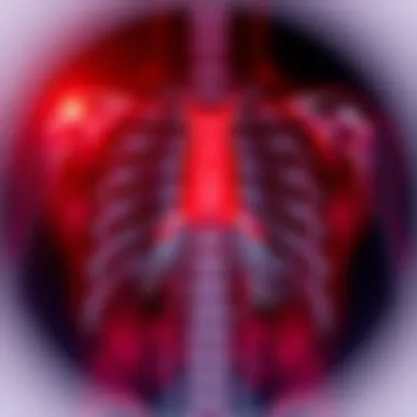 Advancements in Imaging Techniques for TB Comparison of traditional and modern imaging techniques