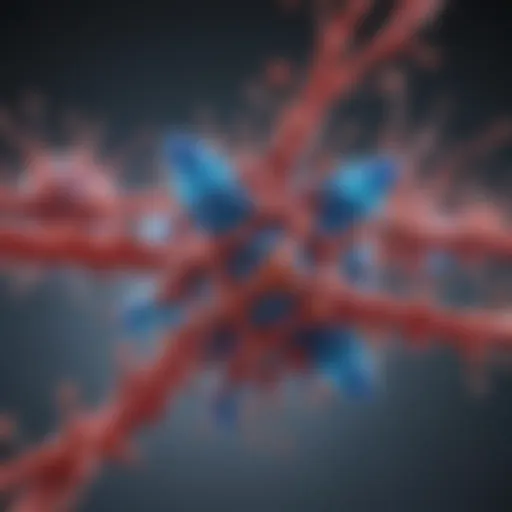 Structural representation of transferrin receptor illustrating its binding sites.