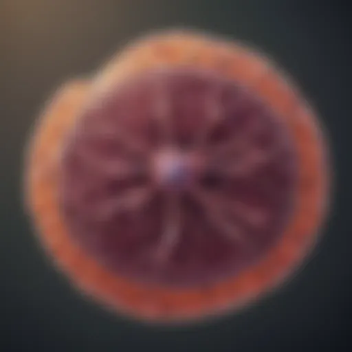 A cellular illustration depicting the characteristics of small cell lung cancer.