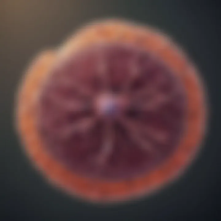 A cellular illustration depicting the characteristics of small cell lung cancer.