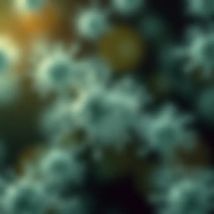 Holistic Management Strategies Holistic approaches to managing staphylococcal infections