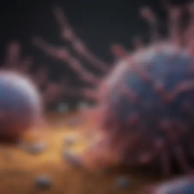 Immunotherapy Mechanisms in Cancer Treatment Illustration of immunotherapy mechanisms in cancer treatment