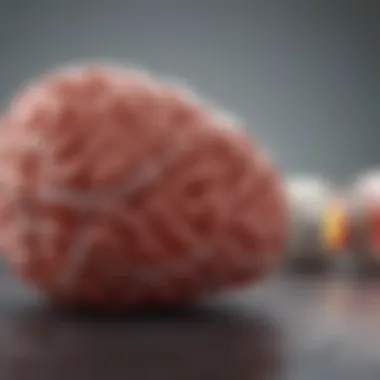 Visual representation of treatment options for renal health