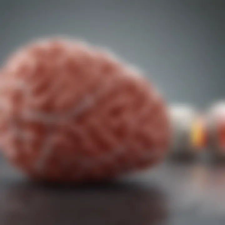 Visual representation of treatment options for renal health