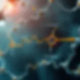 Illustration of Type C Metabolic Pathways Visual representation of Type C metabolic pathways